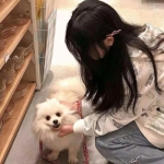 口袋训练师破解版下载